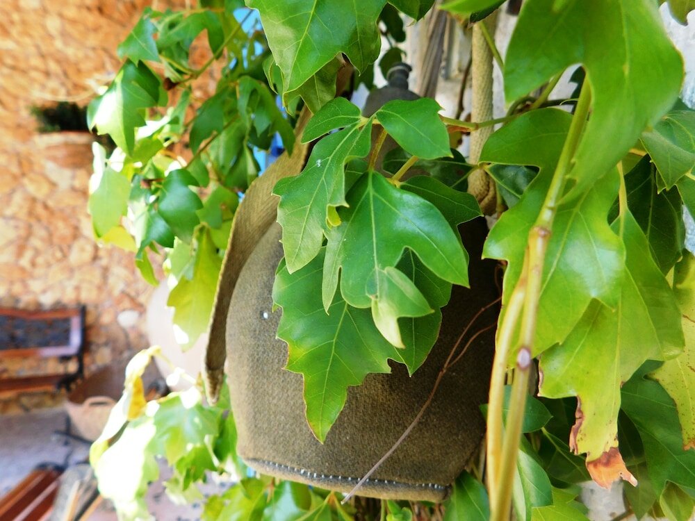 Фото Agriturismo Case Sgaraglino