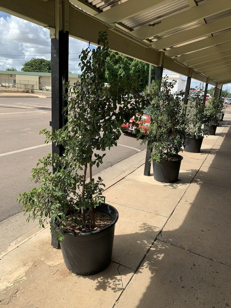 Фото Central Motel