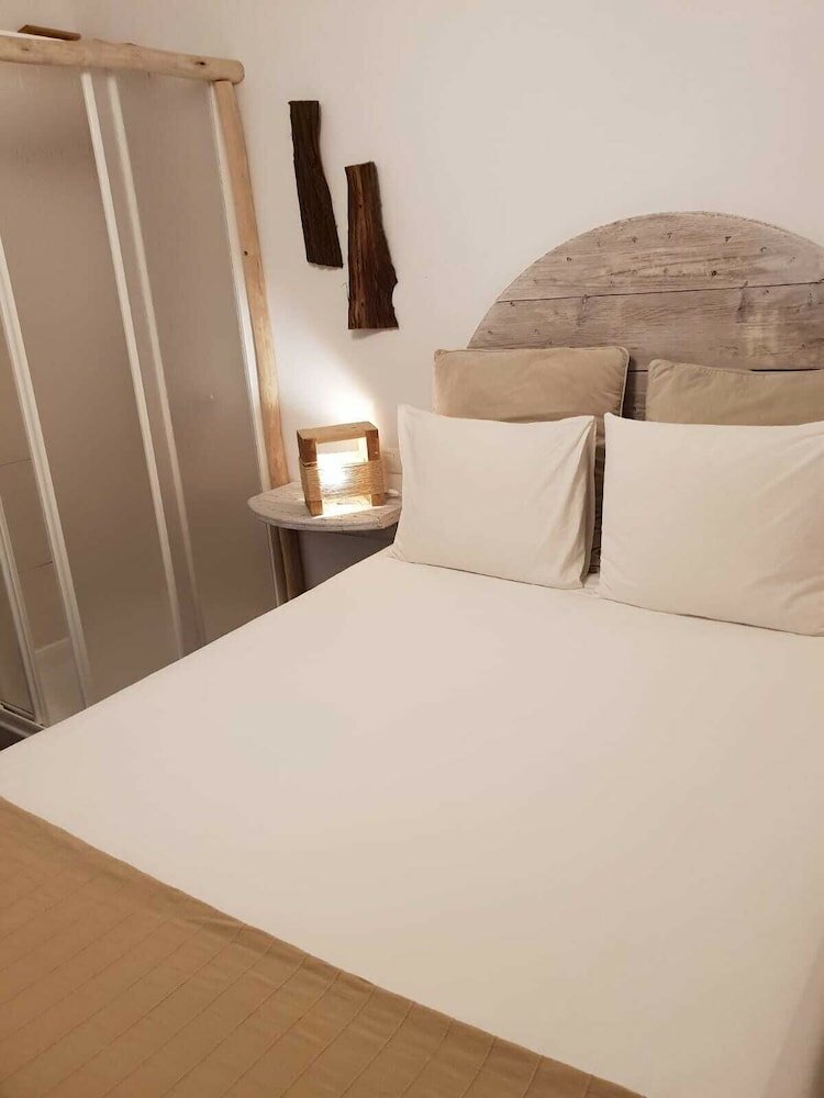 Фото Cactus Host