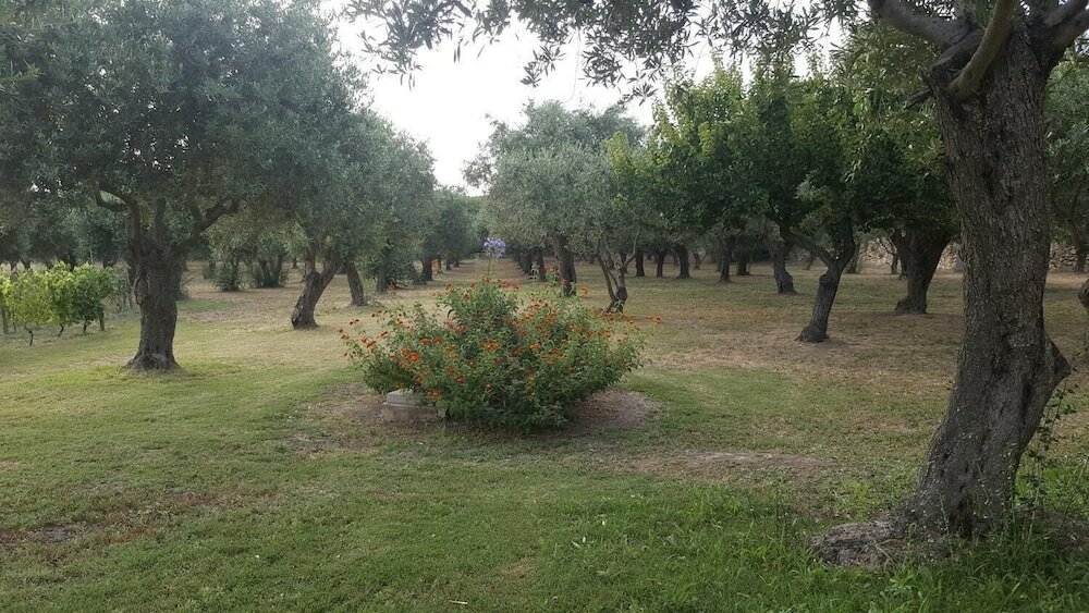 Фото Serra E Mesu