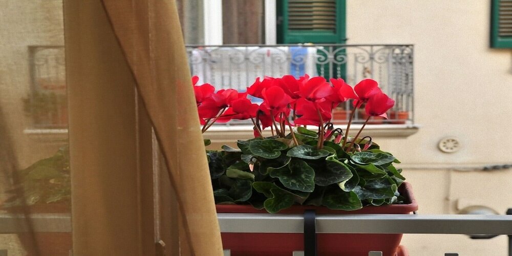 Фото B&b Donna Eleonora