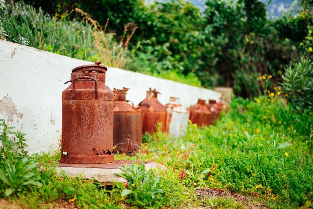 Фото Agriturismo Camisadu