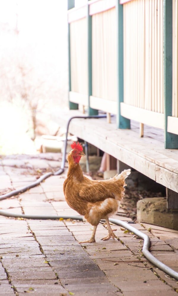 Фото Longreach Outback Adventures