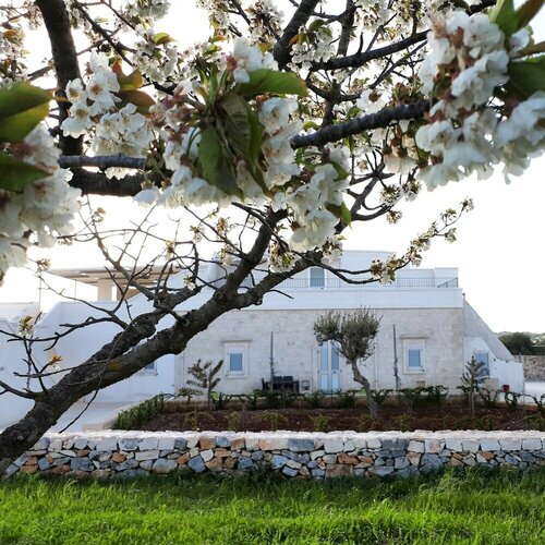 Гостиница Masseria Poesia