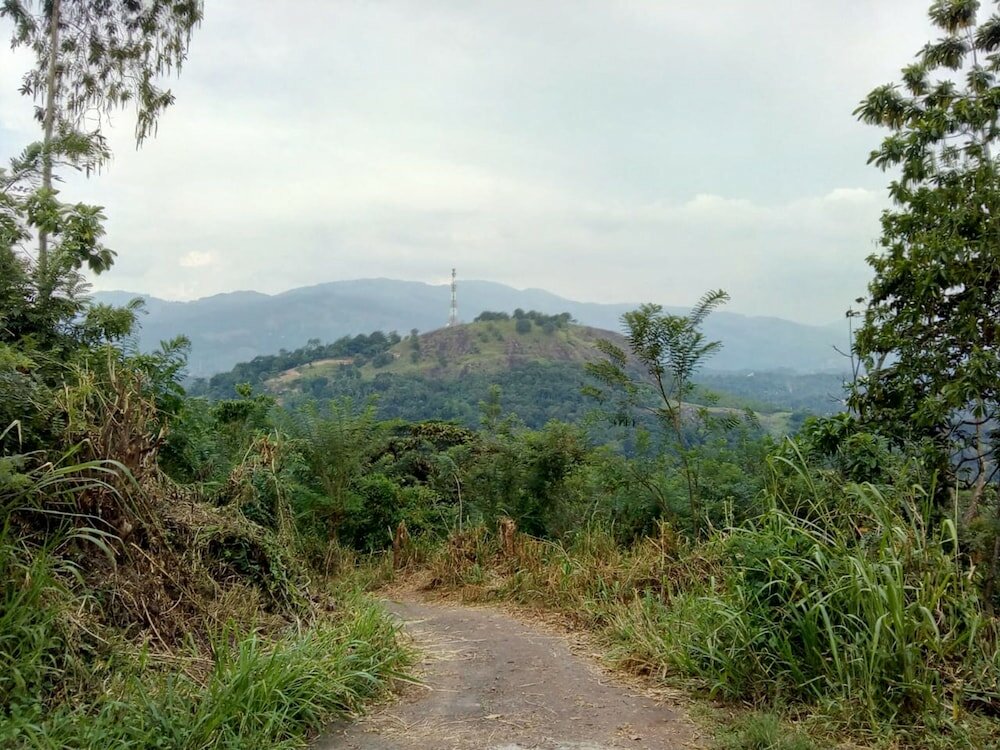 Фото Captain's Lodge