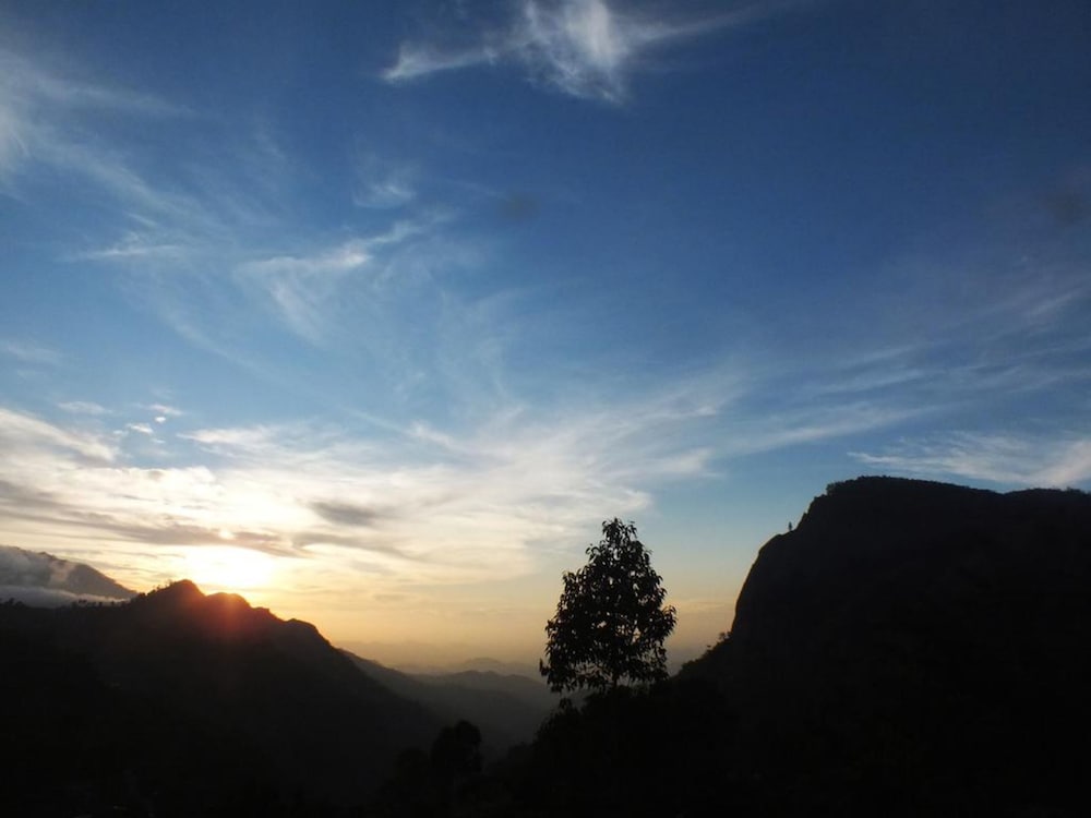 Фото Monarch ella