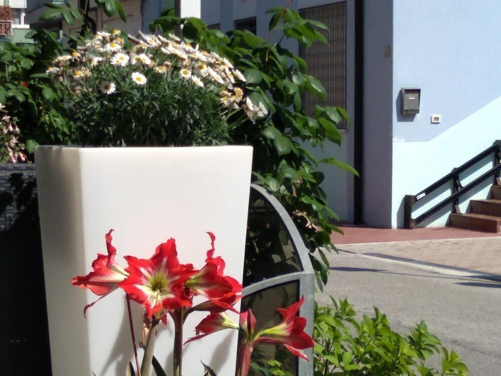 Фото Residence Madrid