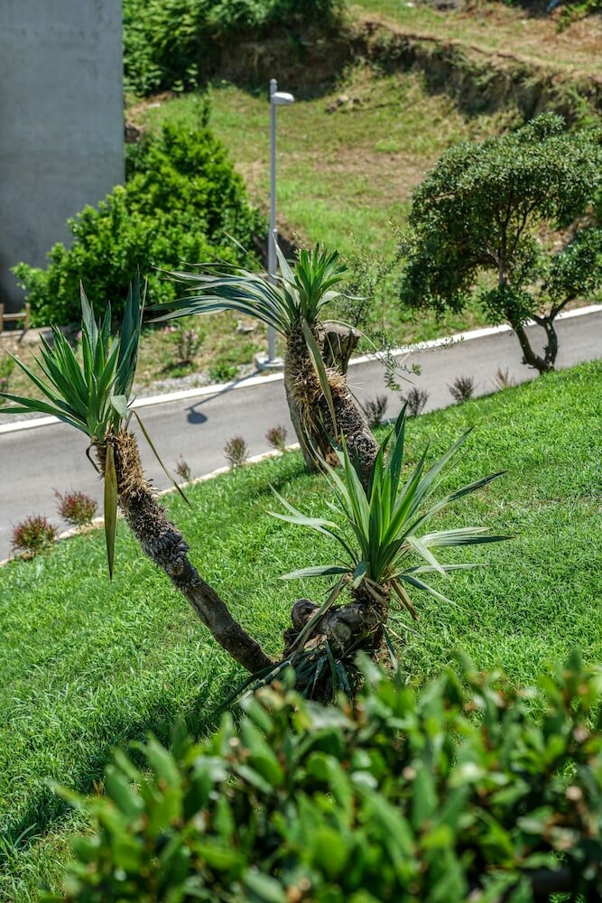 Фото Apartments Bazar