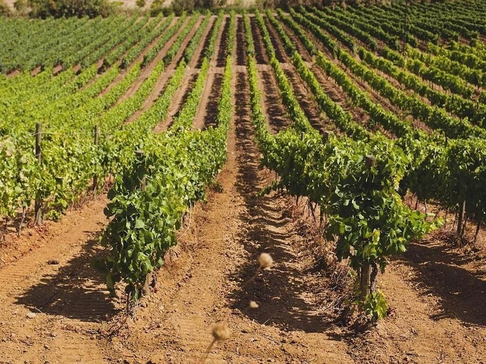 Фото Baglio Caruana Cantina & Relais