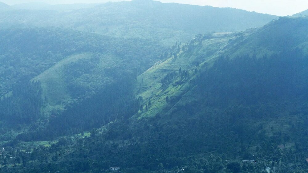 Фото Windloft Retreat