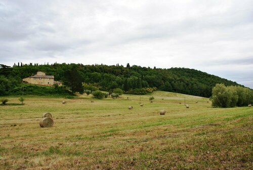Гостиница Agriturismo Podere La Paolina