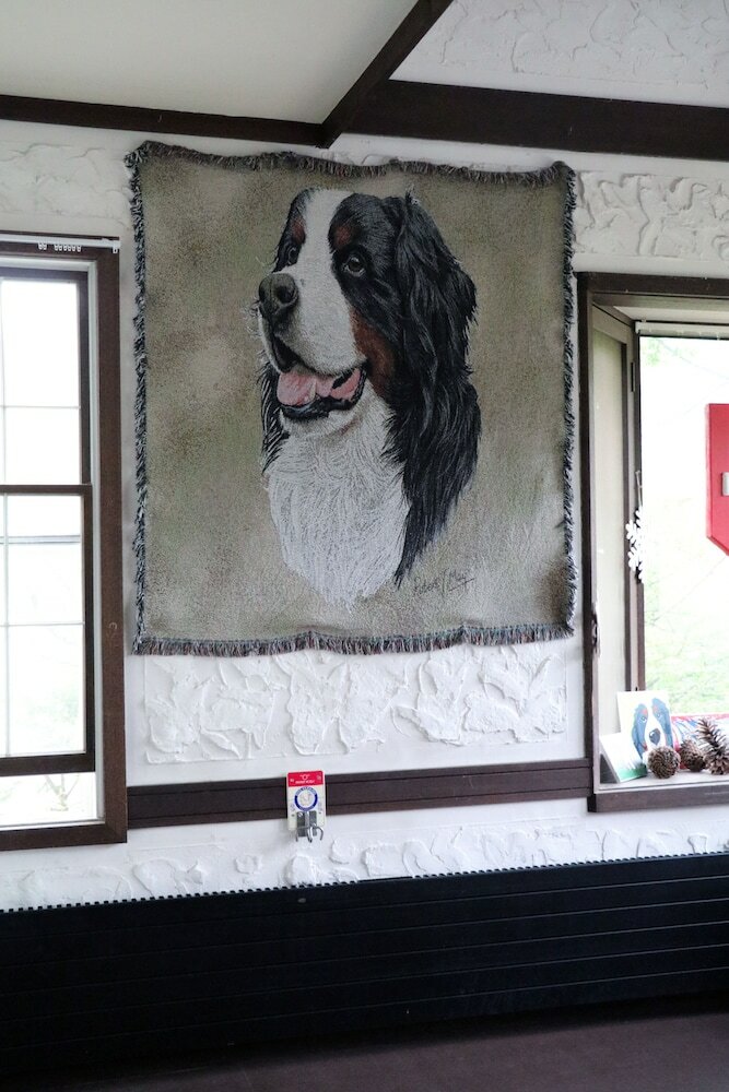 Фото Guest House Bern