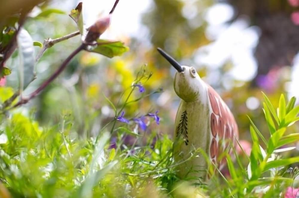 Фото Tivoli Homestay