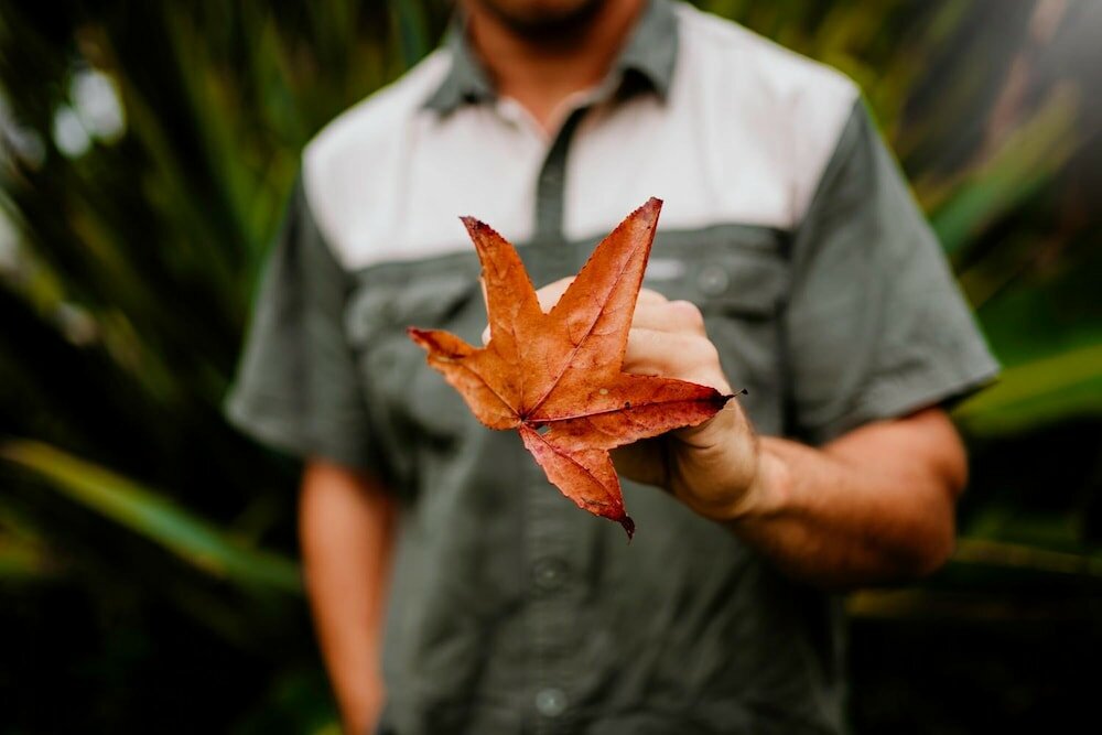 Фото Swartvlei Equestrian Estate