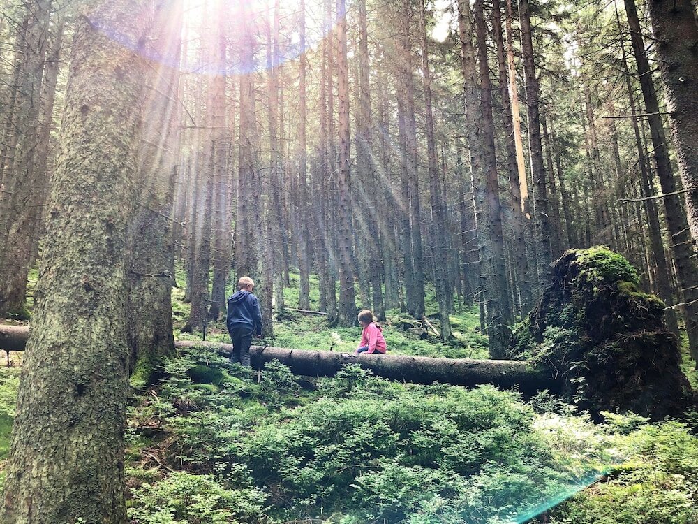 Фото Hotel Mikulášska chata
