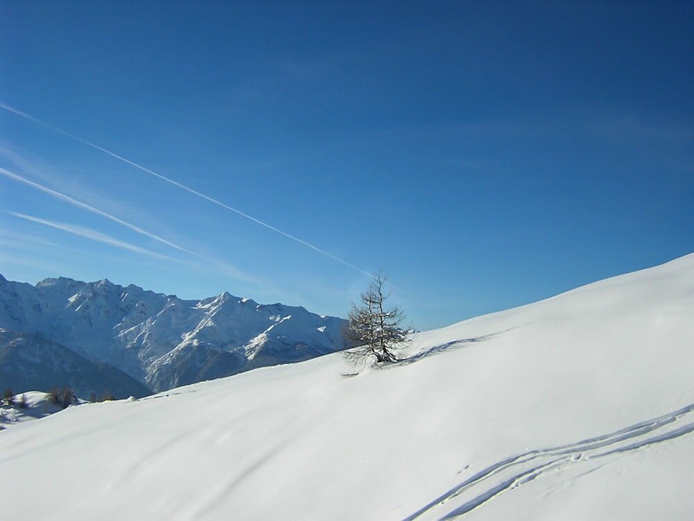 Фото Residence Stefania