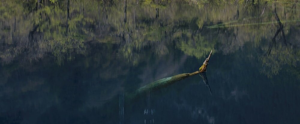 Фото Hilton Garden Inn Jiuzhaigou