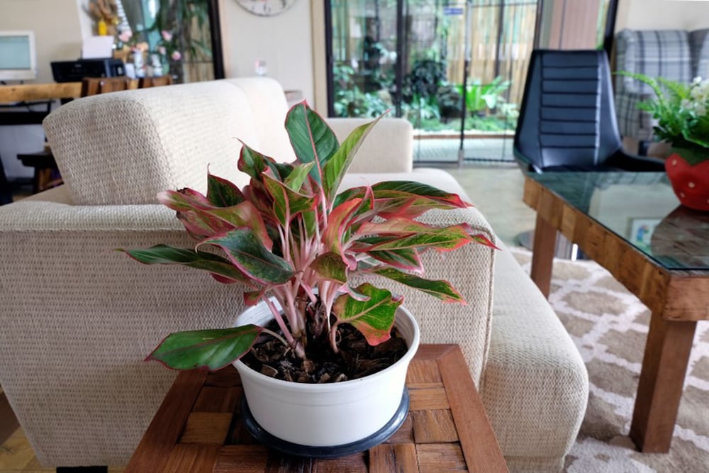 Фото A Good Nite at Nimman