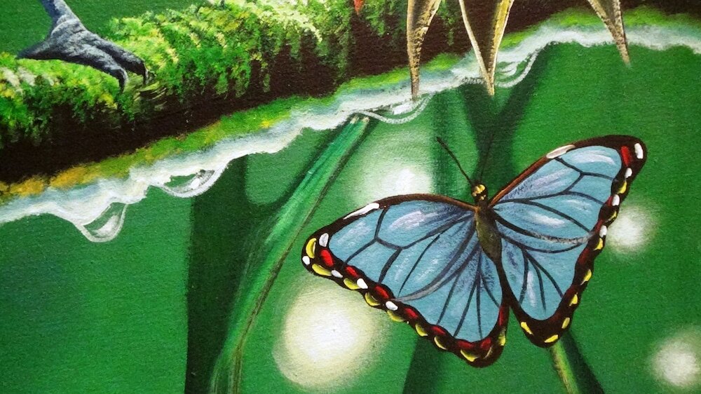 Фото Hacienda Tropical Guest House