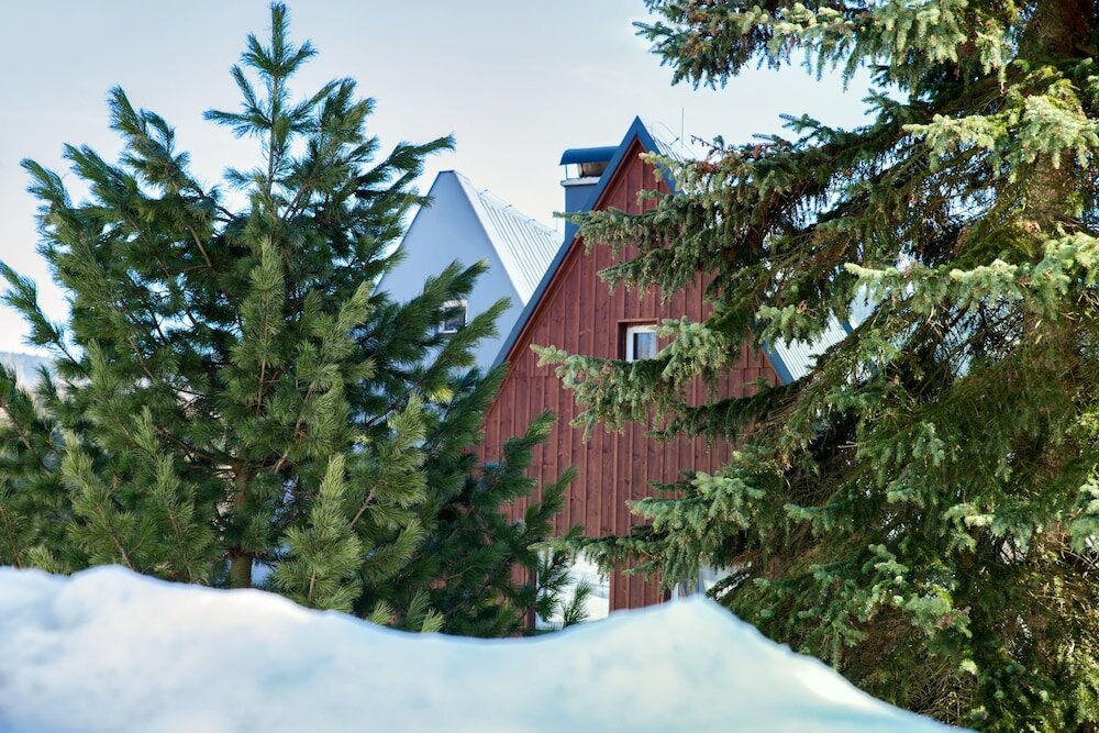 Фото Garni Hotel Horské Špičky