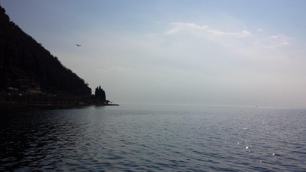 Фото Hotel Capinera