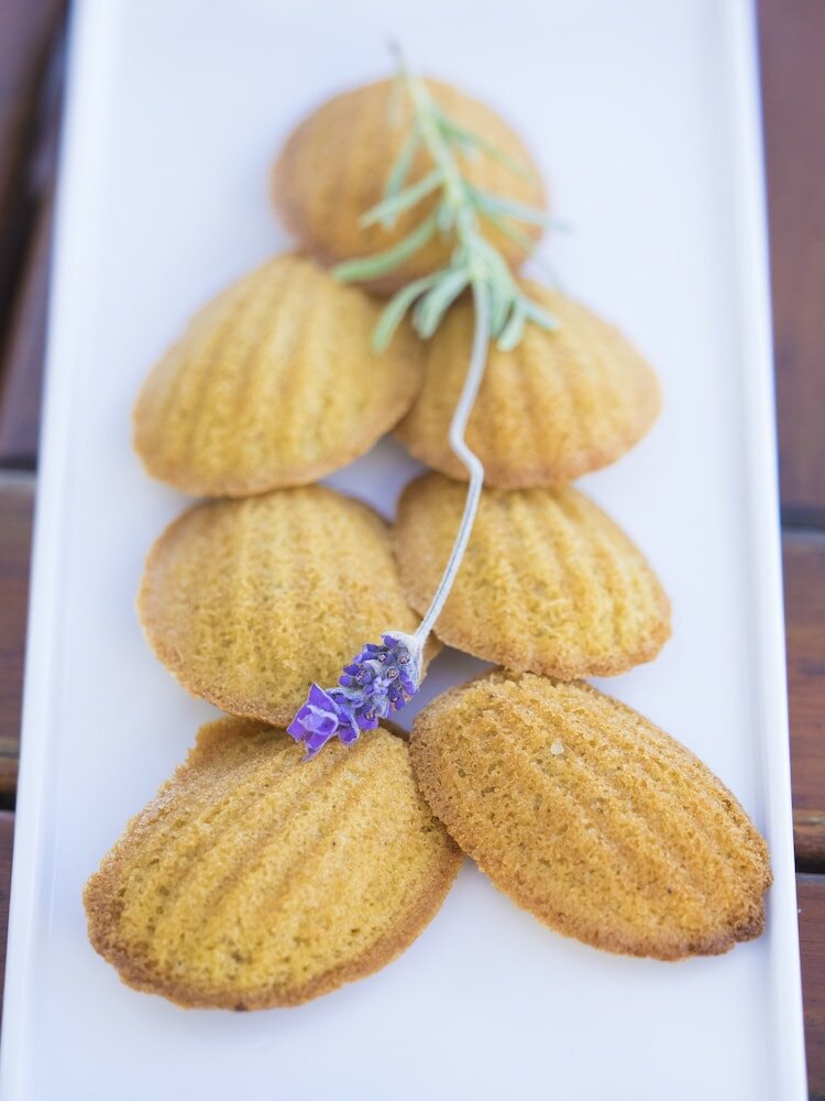 Фото Shining Waters