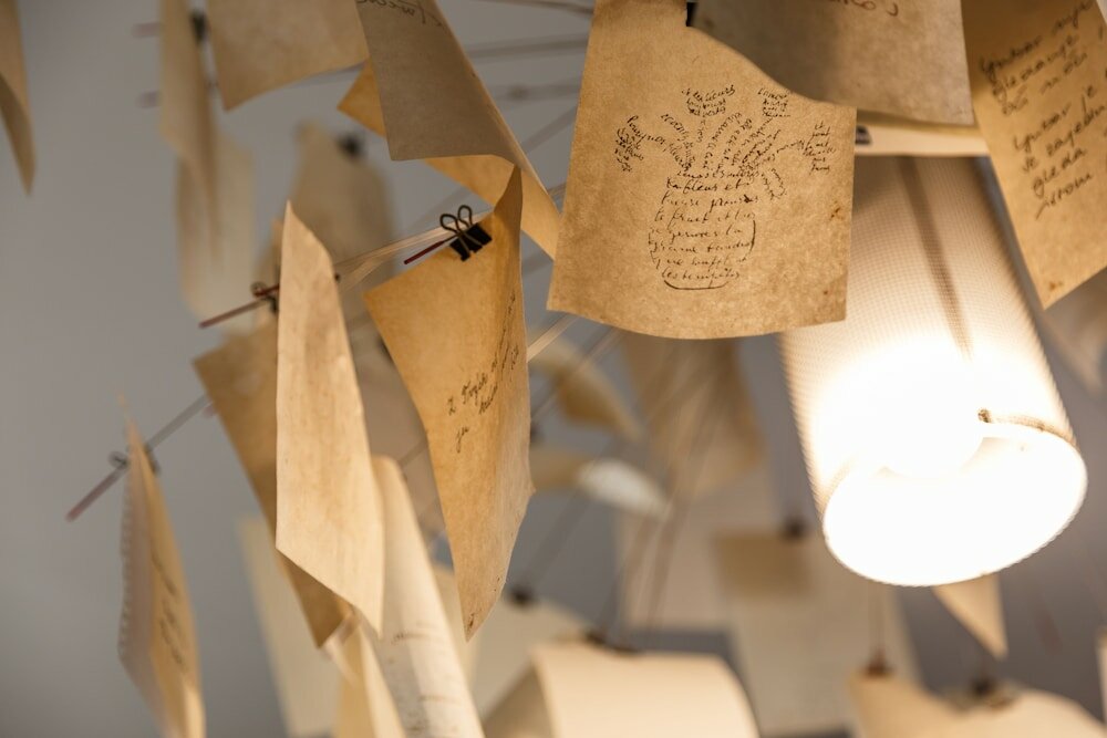 Фото 90177177744