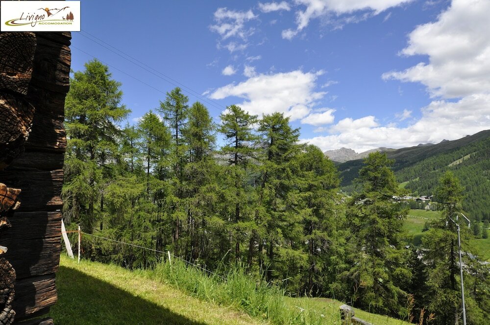 Фото Baita Hanzel & Gretel