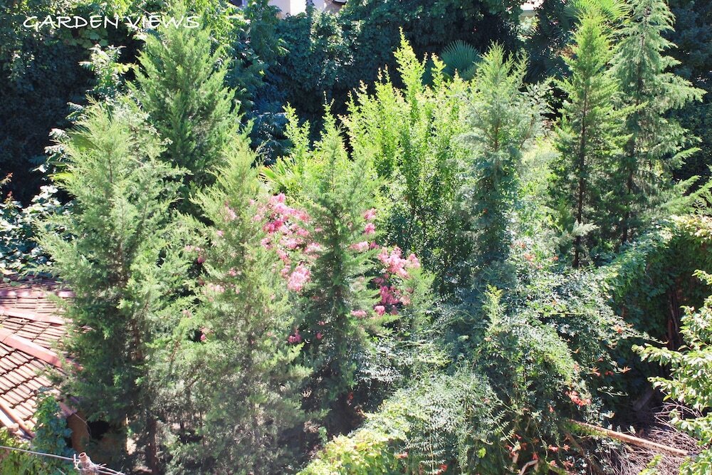 Фото Red Fox Guesthouse