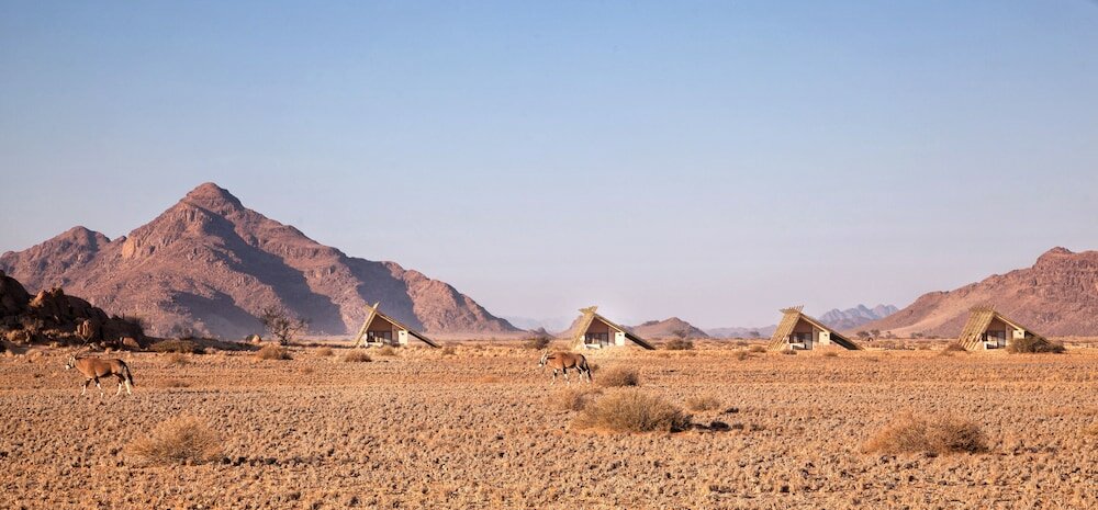 Фото Desert Quiver Camp