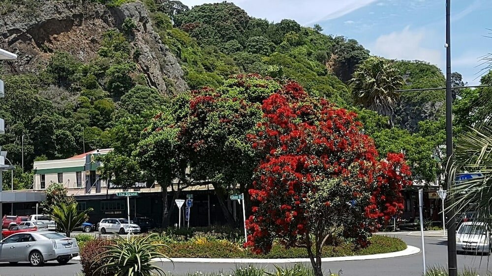 Фото Whakatane Hotel