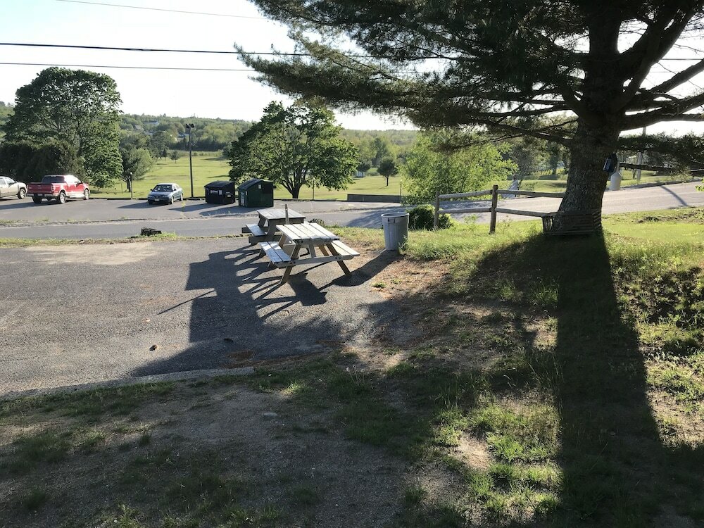 Фото White Birches Motel