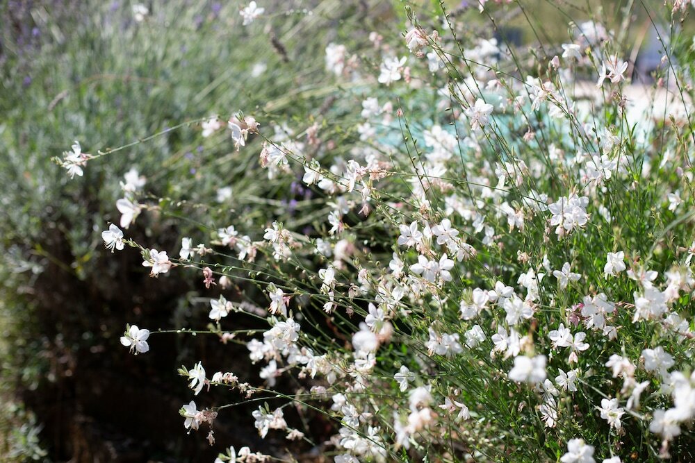 Фото Villa Sabrina Country House