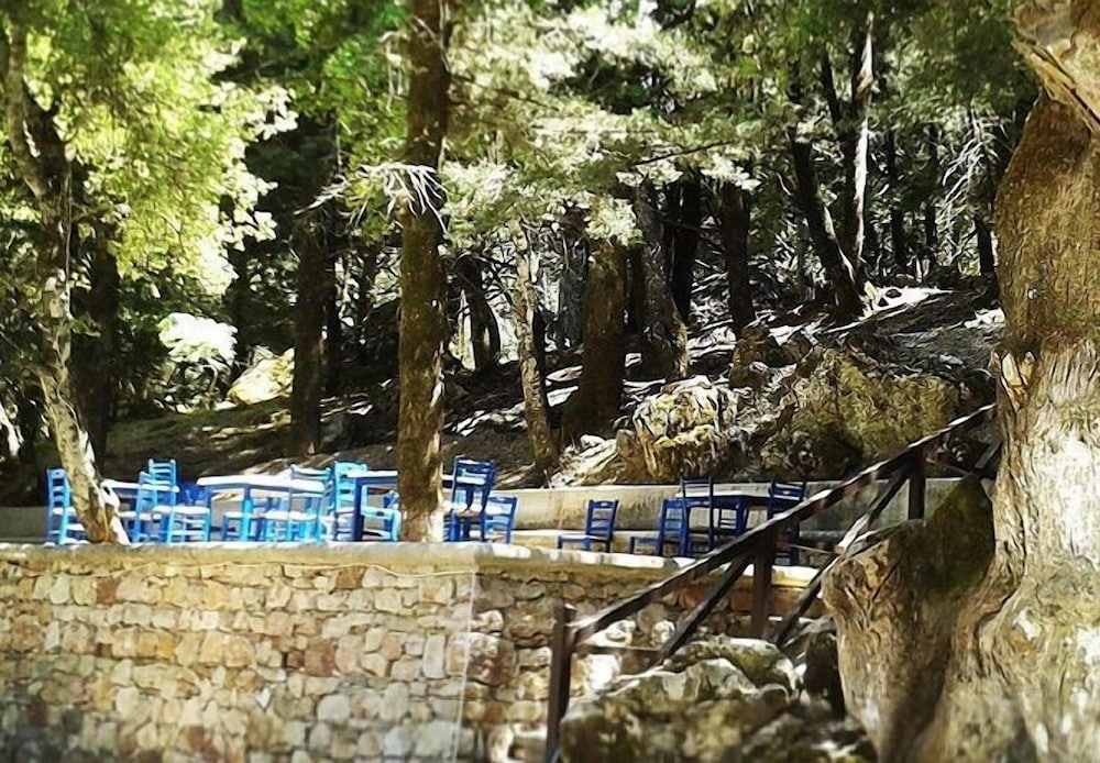 Фото Elafos Hotel