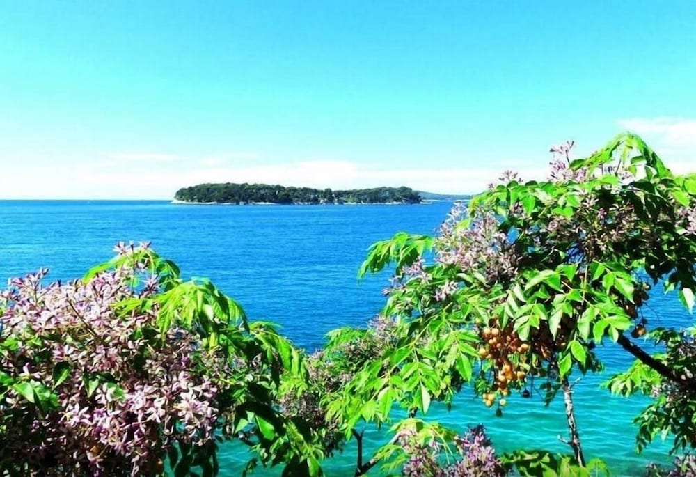 Фото Sea of Eden