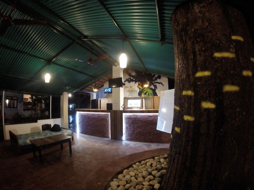 Фото Backpacker Panda Goa