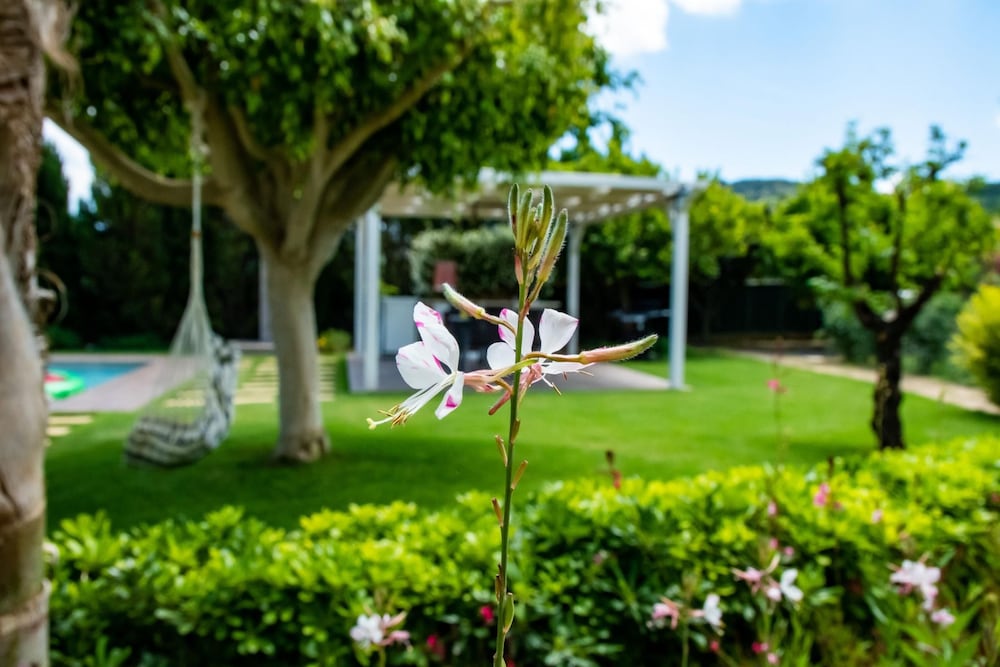 Фото Villa Dimokratia