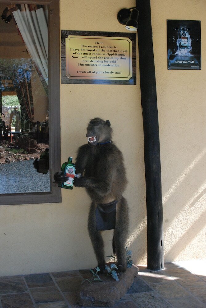 Фото Oppi-Koppi Restcamp