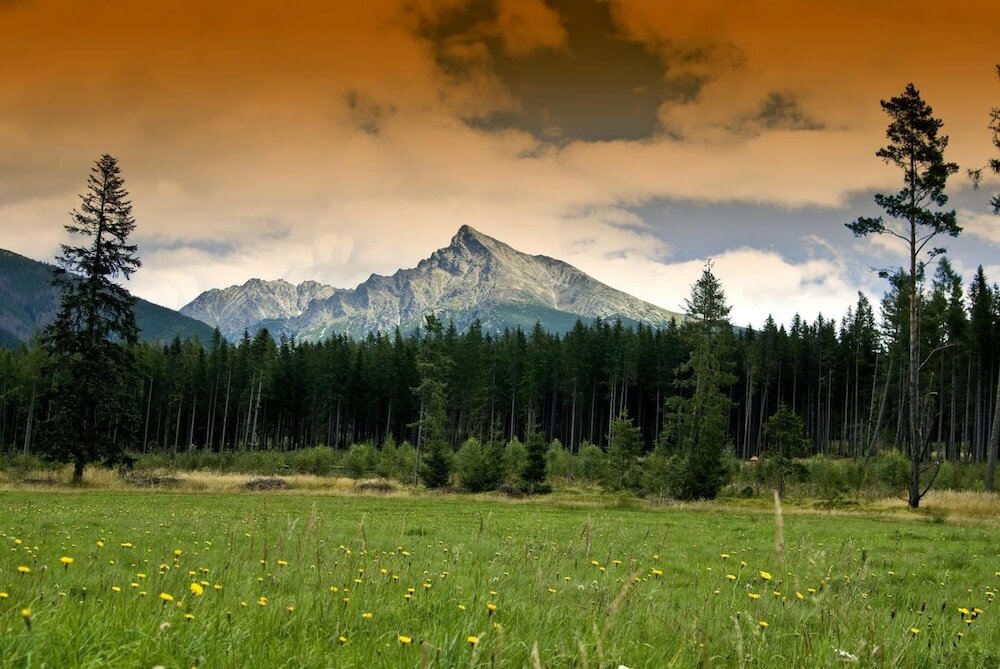 Фото Penzion Sileo