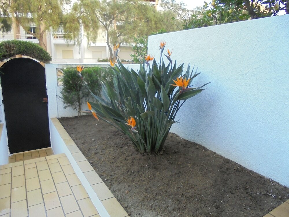 Фото Lagos Charming Villas