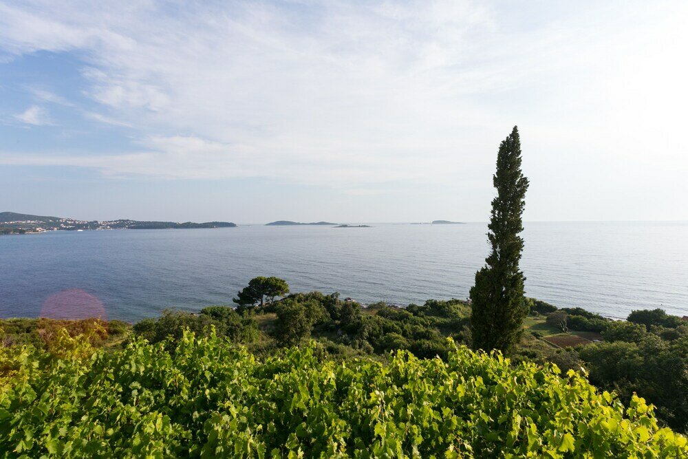 Фото Guest House Fontana