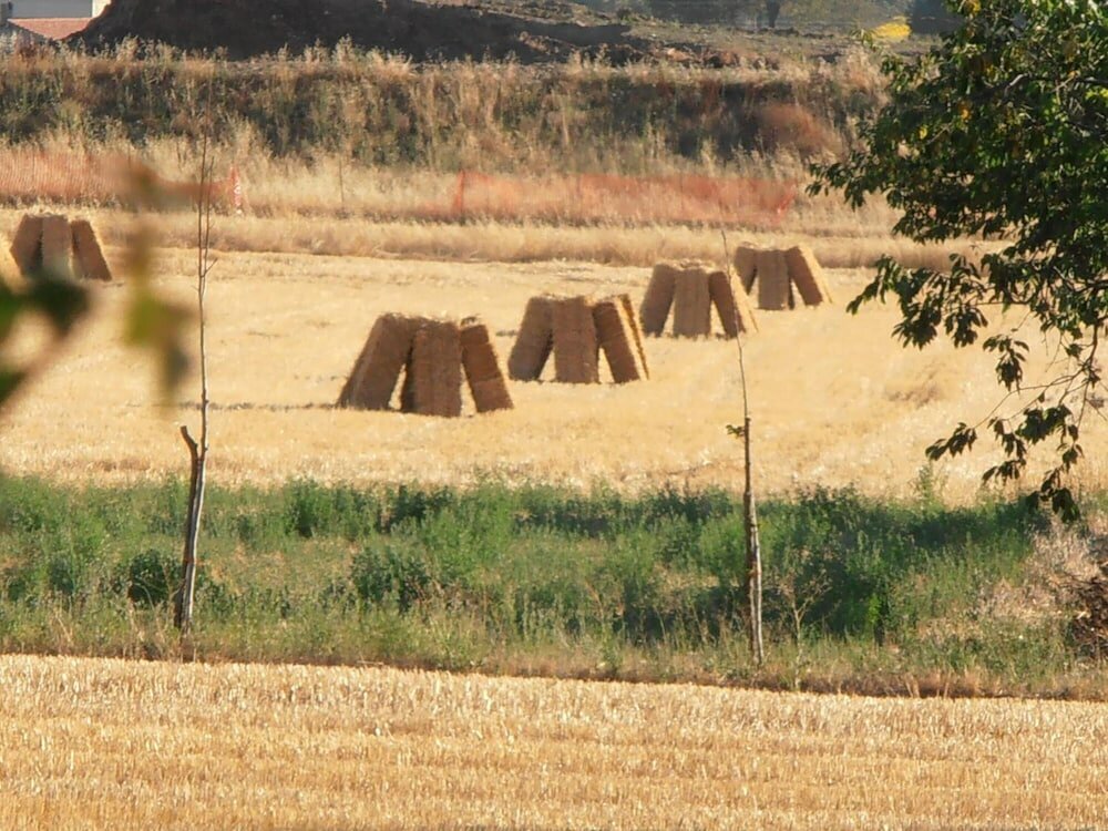 Фото Agriturismo Ponte di Riocchio