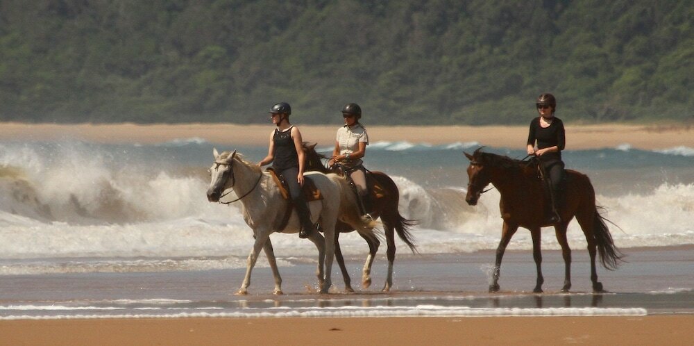 Фото Lodge Afrique