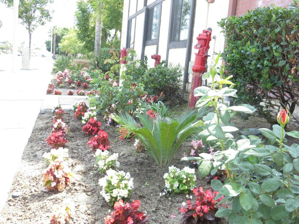 Фото Executive Suites Inn