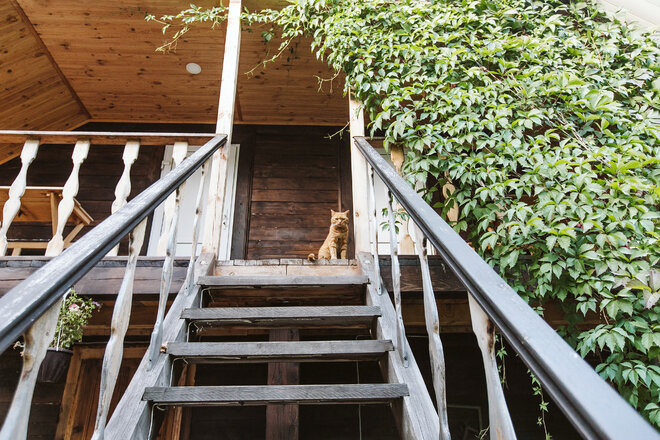 Фото Усадьба Добрыня