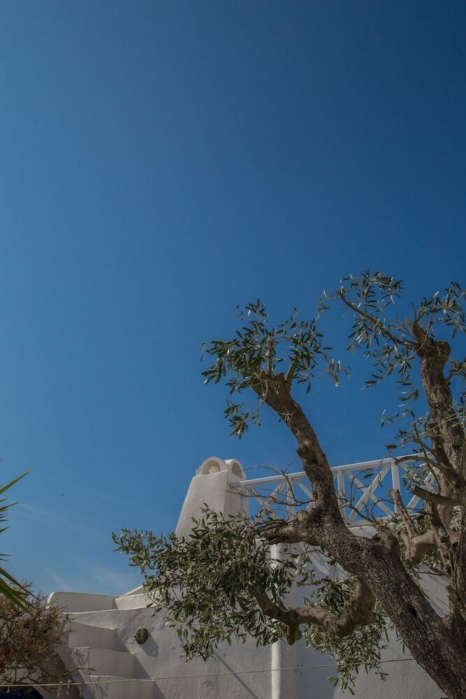 Фото Stilvi Suite