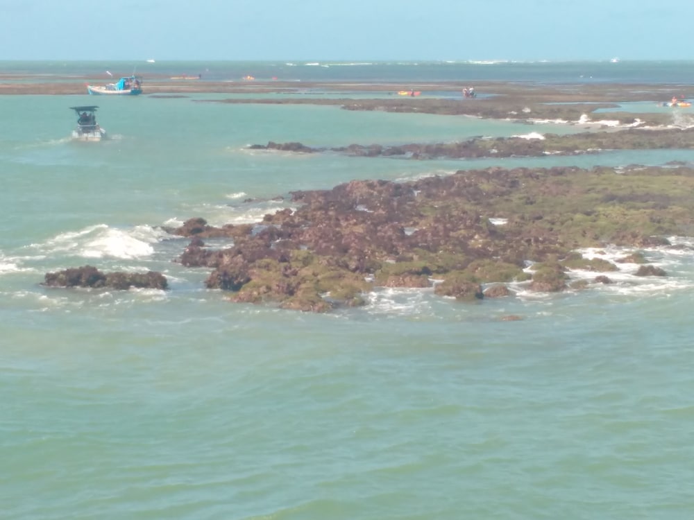 Фото Pousada dos Girassóis