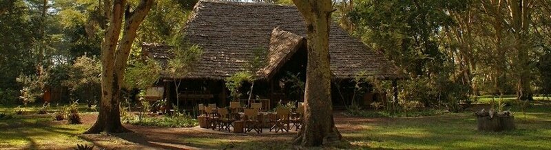 Гостиница Migunga Tented Camp