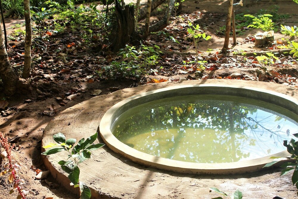 Фото Mahagedara Wellness Retreat