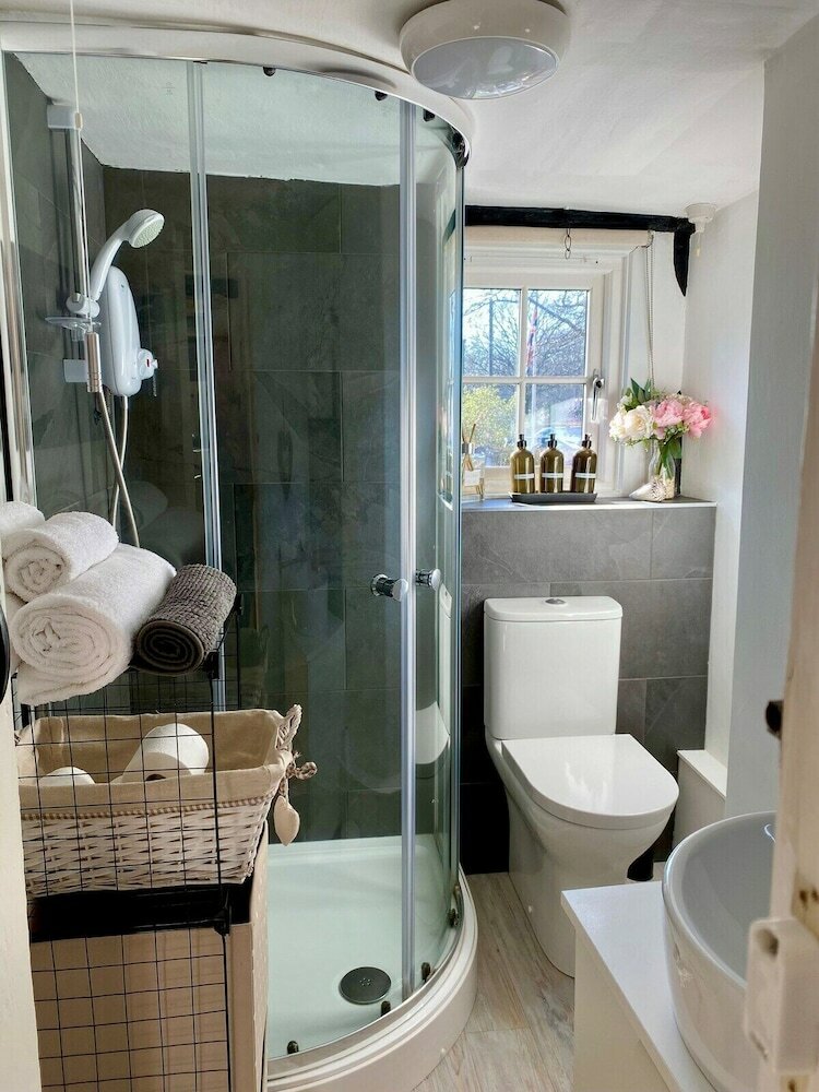 Фото Chestnut Tree